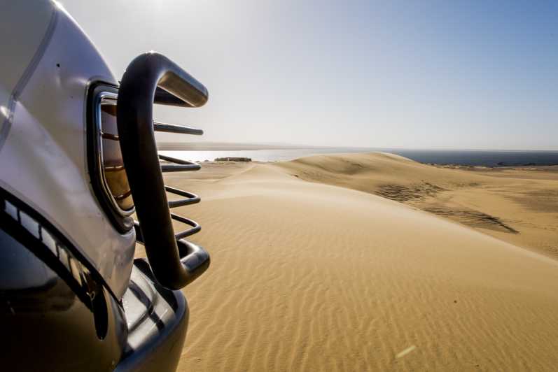 Kahire&den: Sandboarding ve Camel Ride ile 4x4 Çöl Safarisi